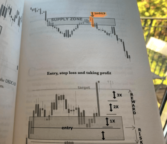 By getting the Supply and Demand Trading Manual, Professional Forex Trading Framework Guidelines for Success